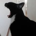 Karon Brown - @karonbrown67 - Instagram
