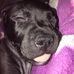 Karon Carpenter - Facebook