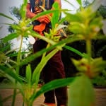 karon paul - @panna2530 - Instagram