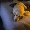 Karson Shepard - @karson.shepard - TikTok