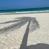 Karri Berg Burks - @karribergburks - TikTok