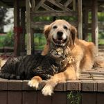 Karri Ryan - @kryananimalpics - Instagram