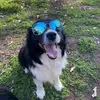 Karri Simpson - @karri.simpson7 - TikTok