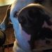 Carrie Freeman - Facebook