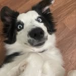 Karrie Hall - @karr_bear77 - Instagram