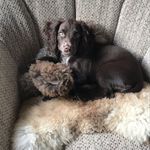 Carrie Harvey - @carrie_harvey22 - Instagram