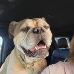 Karrie Holmes - @karrieanne75 - Instagram
