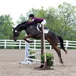 Carrie Montgomery - @nextlevel_dressageeventing - Instagram
