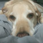 Karrie Moore - @karriemo33 - Instagram