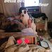 Karrie Peterson - Facebook