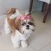 Kyara Schlichting - Facebook