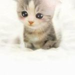 Karrie Stone - @justneedtoknow0819 - Instagram