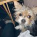 Karrie Preble Sullivan - Facebook