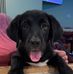 Carrie Welch - Facebook