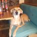 Karrie Woods - Facebook