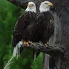 karryjones817 - @karryjones817 - TikTok