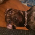 Karson Calvert - Facebook