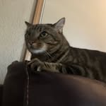 Karson Kirkland - @fluffyocean7565 - Instagram