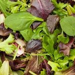 Karsten Marshall-Otto - @karstens_beans_and_greens - Instagram