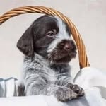Karsten Nielsen - @karsten2840 - Instagram