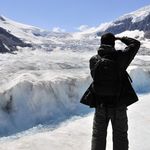 Karthik Devarajan - @paddypaws1729 - Instagram