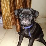 Karthik.Devarajan - @_karthik.kd_485 - Instagram