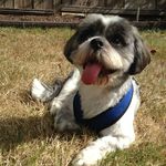 Karyn Anderson - @karyn.anderson.9277 - Instagram