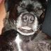 Karen Archer - Facebook