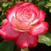 Karyn Baldwin - Facebook