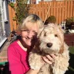 Karen Barnes - @karenbarnessews - Instagram