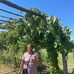 Karyn Barnes - Facebook