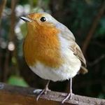 Karen Barrett - @karen.barrett68 - Instagram