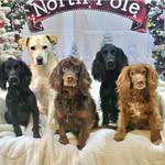 Karen Boyce - @karenboyce2020 - Instagram