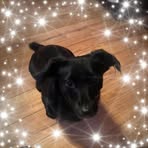 Karen Boyce - Facebook
