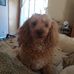 Karen Burns - Facebook