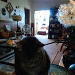 Karen Cannon - @karen.cannon.5030927 - Instagram