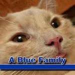 Karen Carroll - @karen.carroll.7771 - Instagram