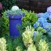 Karen Clarke - Facebook