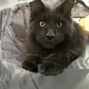 karynclarke0 - @karynclarke0 - TikTok