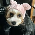 Karen Clements - @klem59 - Instagram