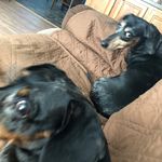 Karen Daugherty - @karendaugherty244 - Instagram
