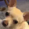 Karen Daugherty - @karen.daugherty - TikTok