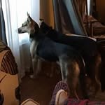 Karen Decker - @autodeck1 - Instagram