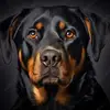 Karen Decker - @karen.decker5 - TikTok
