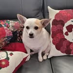 Karen Decker Jones - @karendeckerjones - Instagram