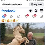 Karyn Doyle - Facebook