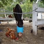 Karen Duke - @tumbetin123 - Instagram