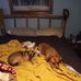 Karen Dunlap - Facebook