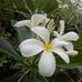 Karen Fuller - Facebook