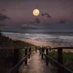Karen Griffith - @griflkl - Instagram